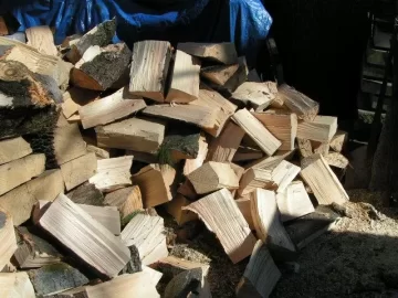 [Hearth.com] CL White Pine Score,my tree service contact hooked me up again