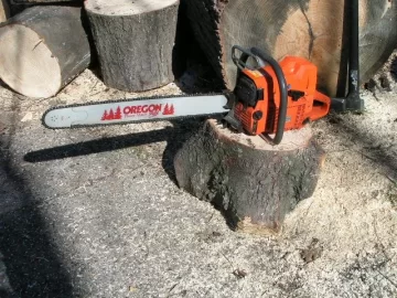 [Hearth.com] CL White Pine Score,my tree service contact hooked me up again