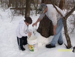 Anyone Planning on Sugaring this spring?