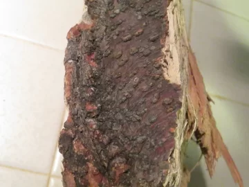 [Hearth.com] Wood ID?  Wintergreen smell.