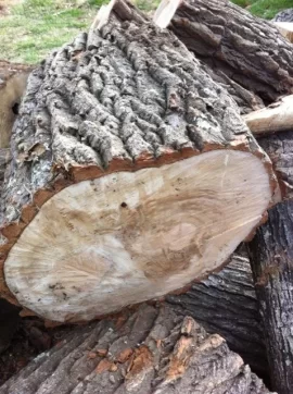 [Hearth.com] Scrounged wood ID?