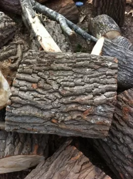 [Hearth.com] Scrounged wood ID?