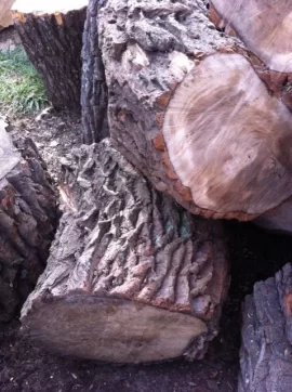 [Hearth.com] Scrounged wood ID?