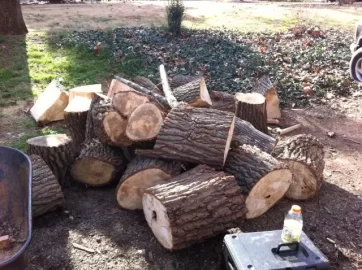 [Hearth.com] Scrounge from today and last weekend
