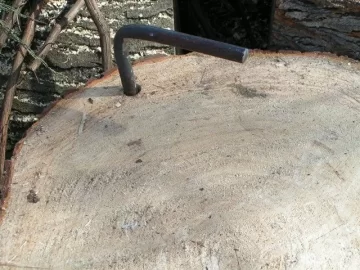 [Hearth.com] CL White Pine Score,my tree service contact hooked me up again
