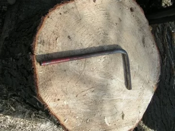 [Hearth.com] CL White Pine Score,my tree service contact hooked me up again