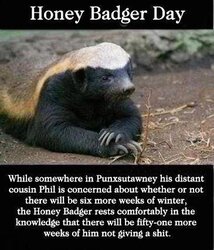 honey badger.jpg