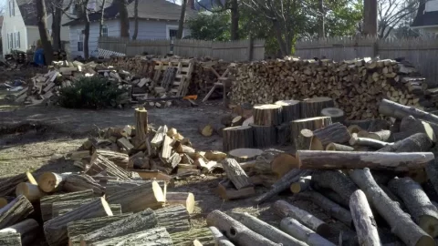 [Hearth.com] Wood from Sandy