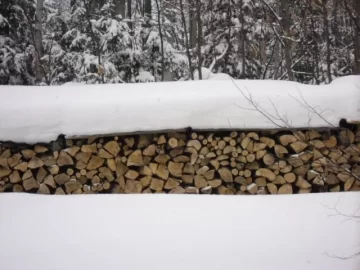 [Hearth.com] Why it's great to have a woodshed...