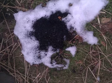 [Hearth.com] Beech giving off thick black smoke!