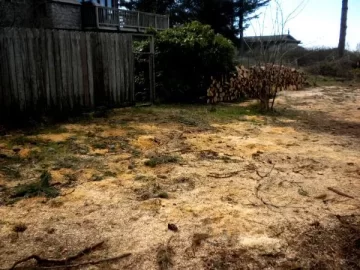 [Hearth.com] MegaScore Before and After