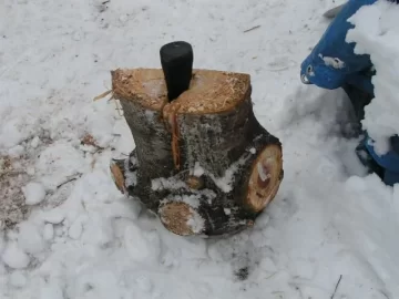 [Hearth.com] CL White Pine Score,my tree service contact hooked me up again