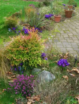 [Hearth.com] It's springing outside!