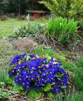 [Hearth.com] It's springing outside!