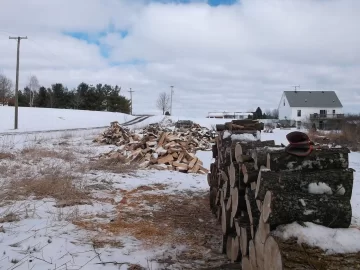 [Hearth.com] Perfect day to play in the woods with the saw