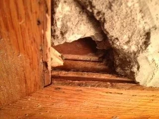 [Hearth.com] DIY floor level hearth Question