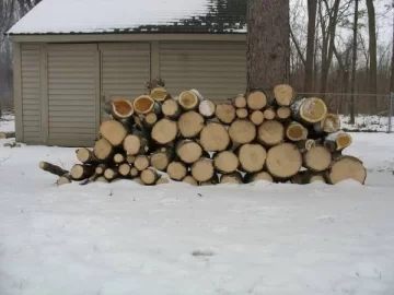 [Hearth.com] CL add ,what kind of wood do ya think it is