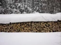 [Hearth.com] Wood Shed is getting Low!