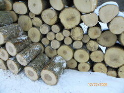 Wood-9.JPG