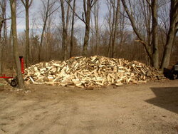 Cooks wood pile 2006.JPG