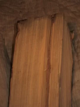 [Hearth.com] Is This Maple?