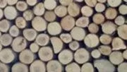 [Hearth.com] How much wood...