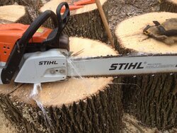Things NOT to cut with your saw....