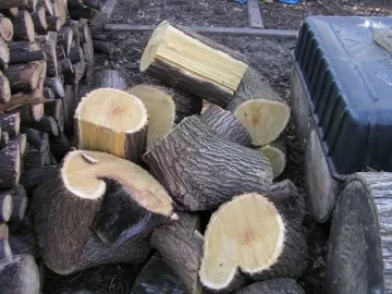 [Hearth.com] can someone post of picture of a cut mulberry?