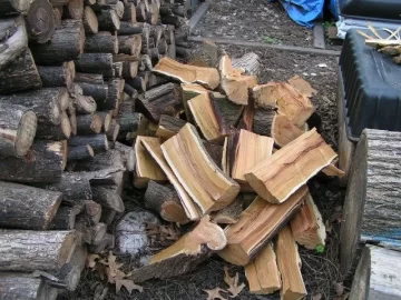 [Hearth.com] can someone post of picture of a cut mulberry?