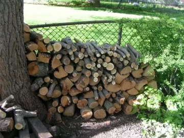 [Hearth.com] can someone post of picture of a cut mulberry?