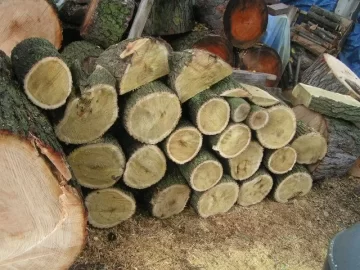 [Hearth.com] can someone post of picture of a cut mulberry?