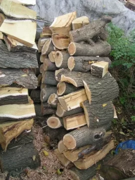 [Hearth.com] can someone post of picture of a cut mulberry?