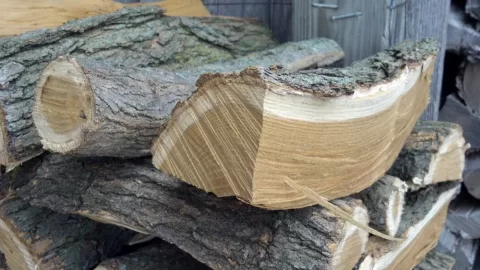 [Hearth.com] can someone post of picture of a cut mulberry?