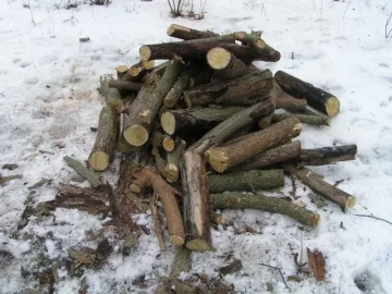 [Hearth.com] can someone post of picture of a cut mulberry?