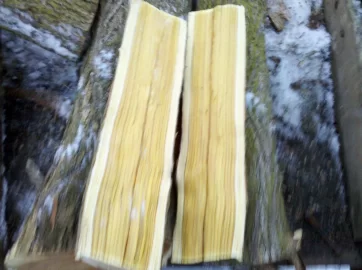 [Hearth.com] can someone post of picture of a cut mulberry?