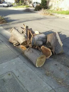 [Hearth.com] can someone post of picture of a cut mulberry?
