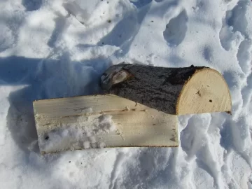 [Hearth.com] Take my tree ID (& bonus dog ID) quiz!