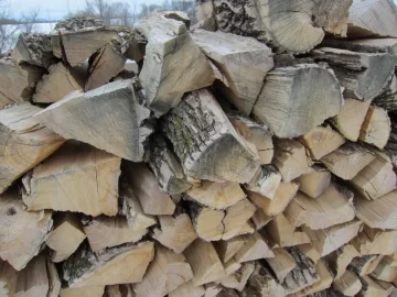 [Hearth.com] Take my tree ID (& bonus dog ID) quiz!