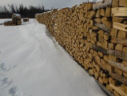 Walked around the wood stacks today