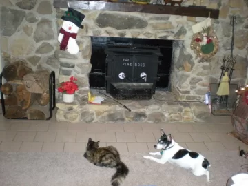 [Hearth.com] Sad Day