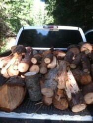 Wood in truck.jpg