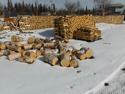 Walked around the wood stacks today