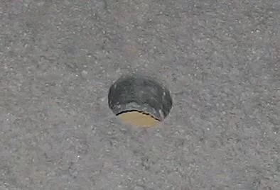 10.jpg 10.jpg