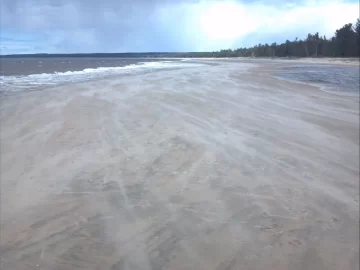 [Hearth.com] Sunny day at the beach