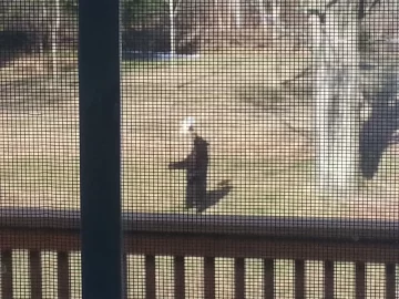 [Hearth.com] Went to go get a bag of pellets from the garage and this is what I see....