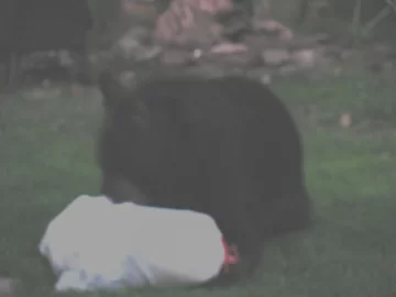 [Hearth.com] Went to go get a bag of pellets from the garage and this is what I see....