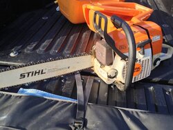 Help with purchase of firewood/ground saw