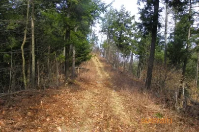 [Hearth.com] Gunner Hill