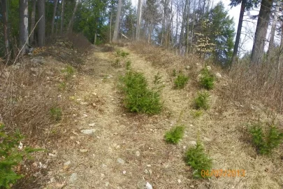 [Hearth.com] Gunner Hill