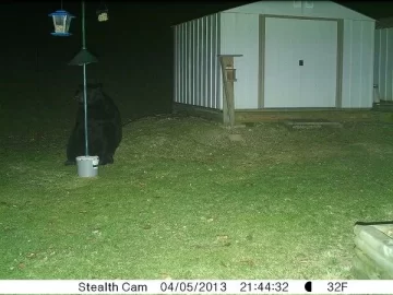 [Hearth.com] Went to go get a bag of pellets from the garage and this is what I see....